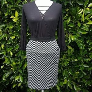 Trina Turk Skirt Size 6